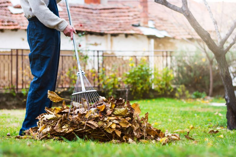 Leaves Being Raked and Collected