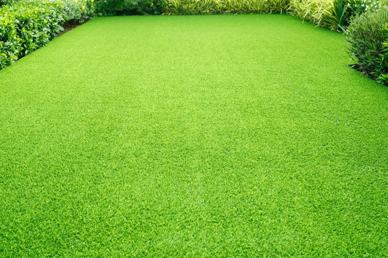 Lush Green Turf