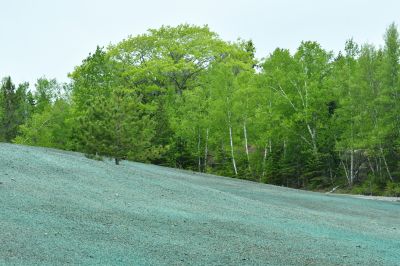 Hill Hydroseeding in Ventura County, CA