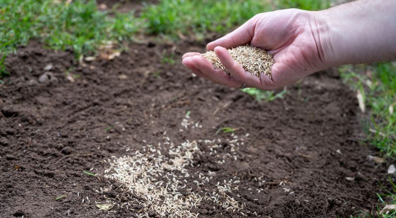 Lawn Seeding Services Cost — Cost of Lawn Seeding Services