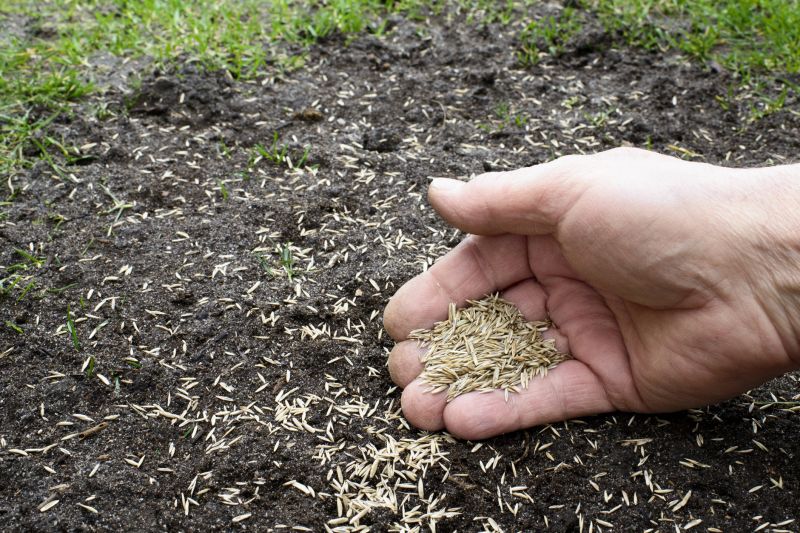 Lawn Seeding Services Cost — Cost of Lawn Seeding Services