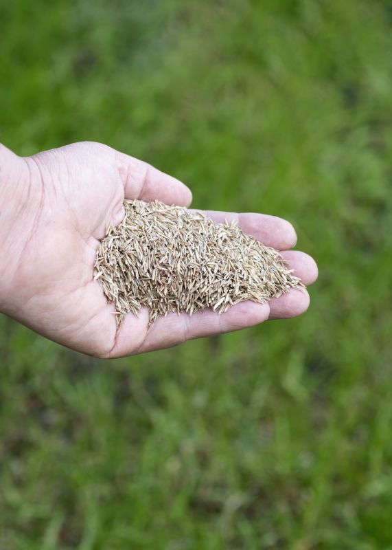 Lawn Seeding Services Cost — Cost of Lawn Seeding Services