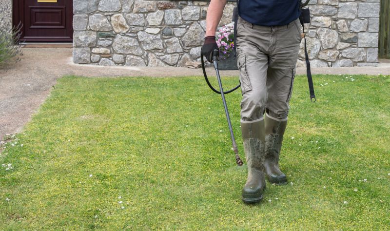 Lawn Weed Treatment in Honolulu, HI