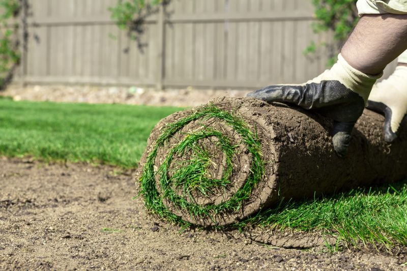 Sod Installation in Rockwall, TX