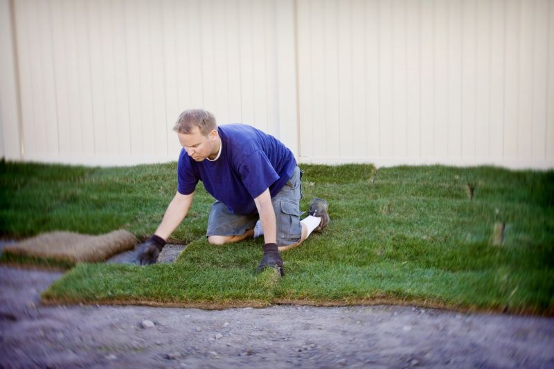 Yard Sod Replacement in Aiken, SC