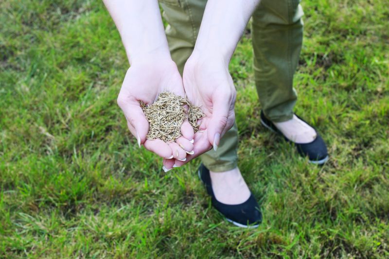 Contact About Grass Seeding Service