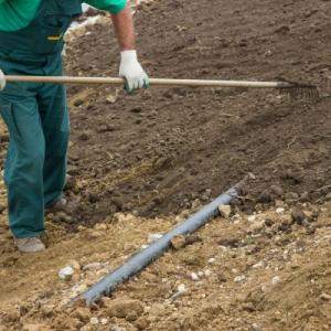 Alexandria Sod Seeding